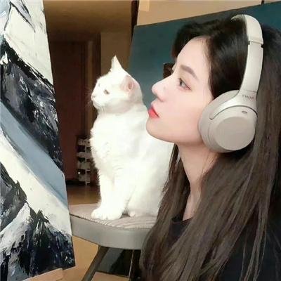 蓝色项圈